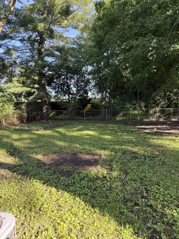 267 Somonauk Street Park Forest IL 60466