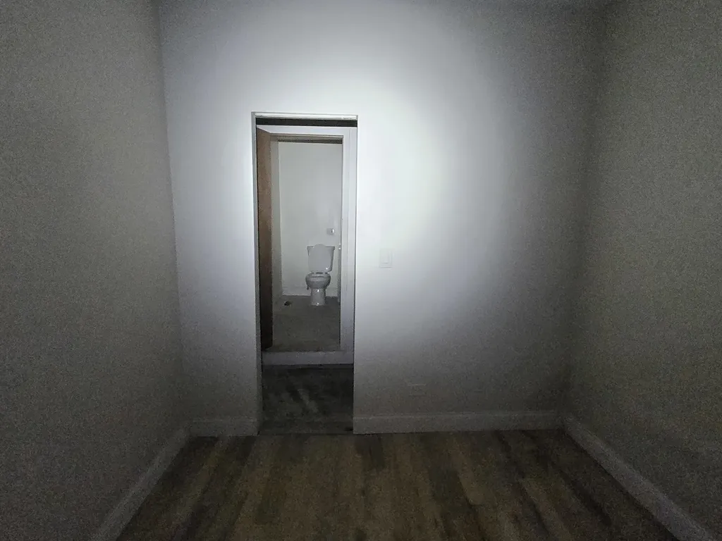 426 North Trumbull Avenue Chicago IL 60624