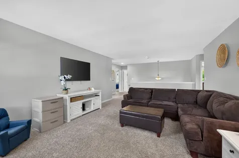 162 Hibiscus Lane Elgin IL 60124