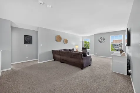 162 Hibiscus Lane Elgin IL 60124