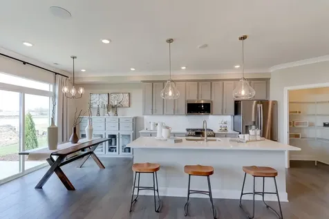 25509 West Emory Lane Plainfield IL 60544