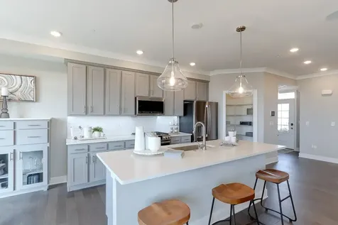 25509 West Emory Lane Plainfield IL 60544