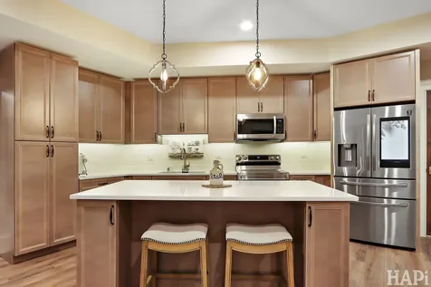 18 Enclave Court South Barrington IL 60010