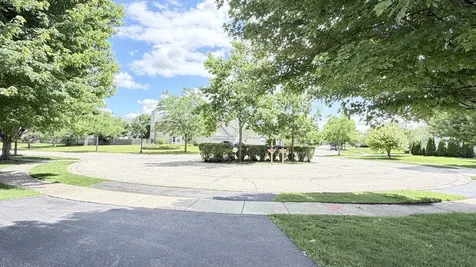 596 West Dalton Drive Round Lake IL 60073