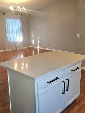33616 North Evergreen Drive Grayslake IL 60030