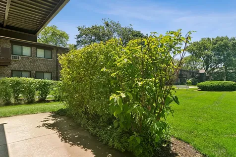 2642 North Windsor Drive Arlington Heights IL 60004