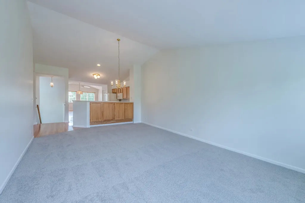 249 Sierra Pass Drive Schaumburg IL 60194