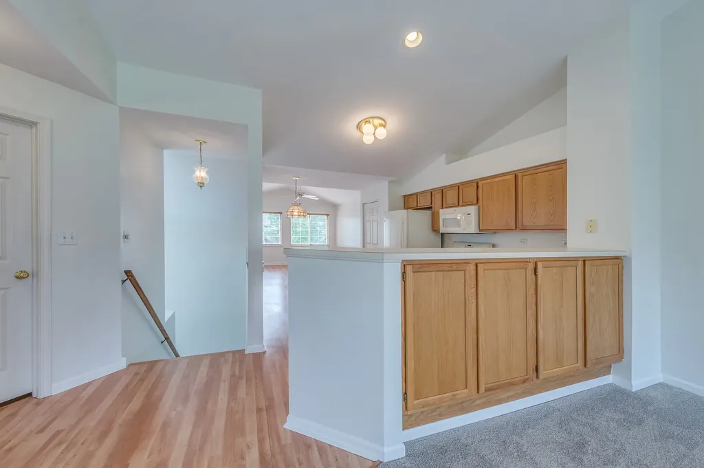 249 Sierra Pass Drive Schaumburg IL 60194