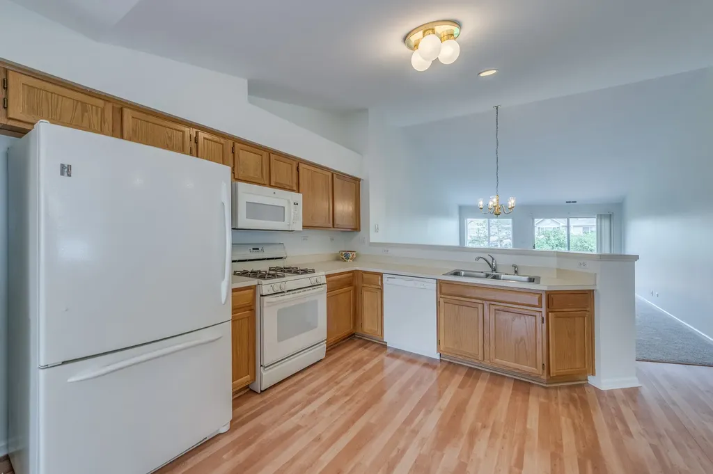 249 Sierra Pass Drive Schaumburg IL 60194