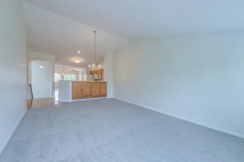 249 Sierra Pass Drive Schaumburg IL 60194