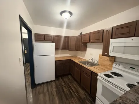 7337 South South Shore Drive Chicago IL 60649