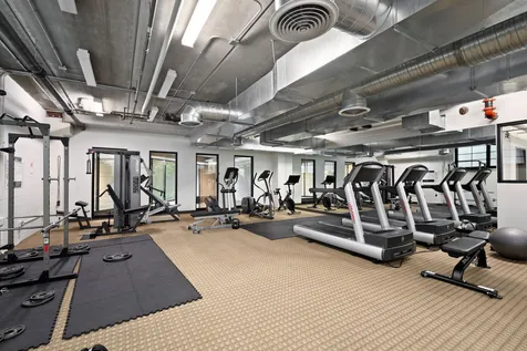 811 West 15th Place Chicago IL 60608
