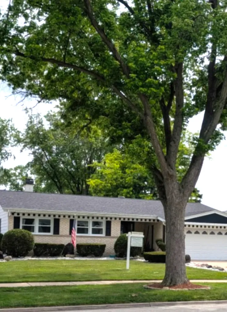 1825 East Sitka Lane E Mount Prospect IL 60056
