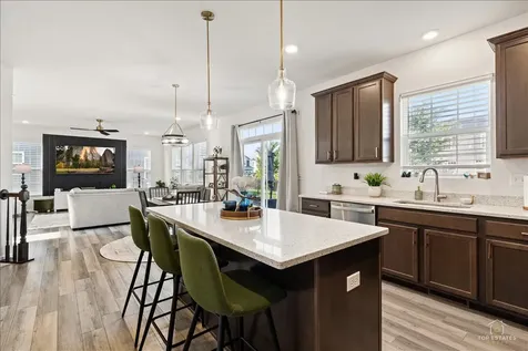 15334 South Sawgrass Circle Plainfield IL 60544