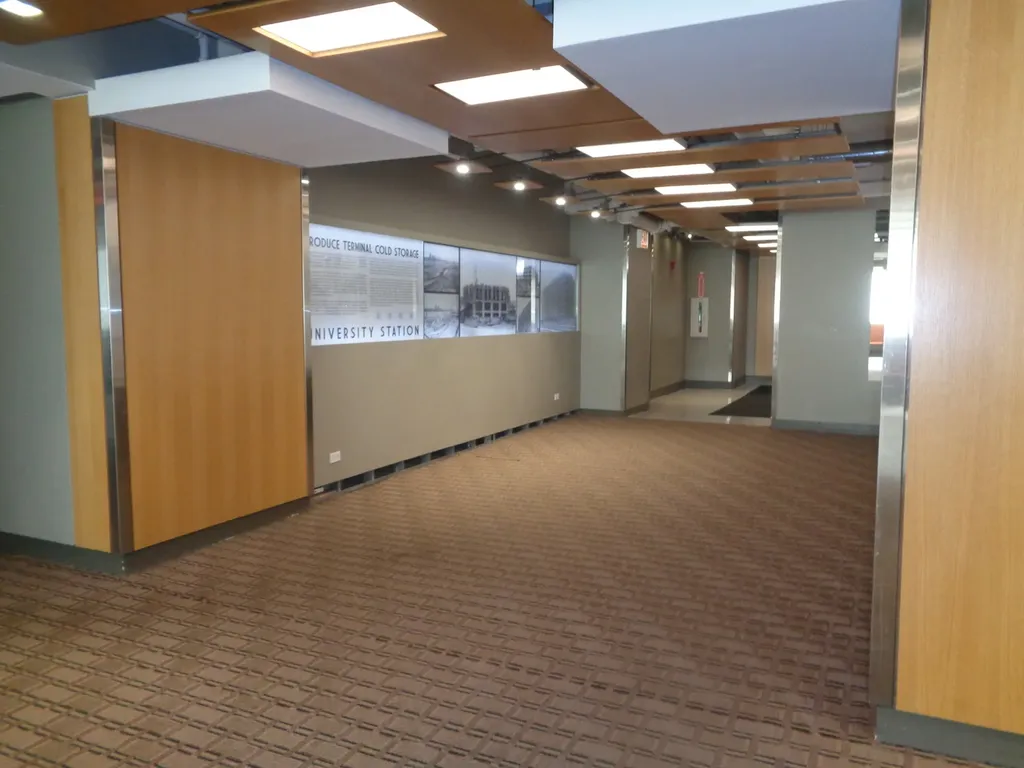 1550 South Blue Island Avenue Chicago IL 60608