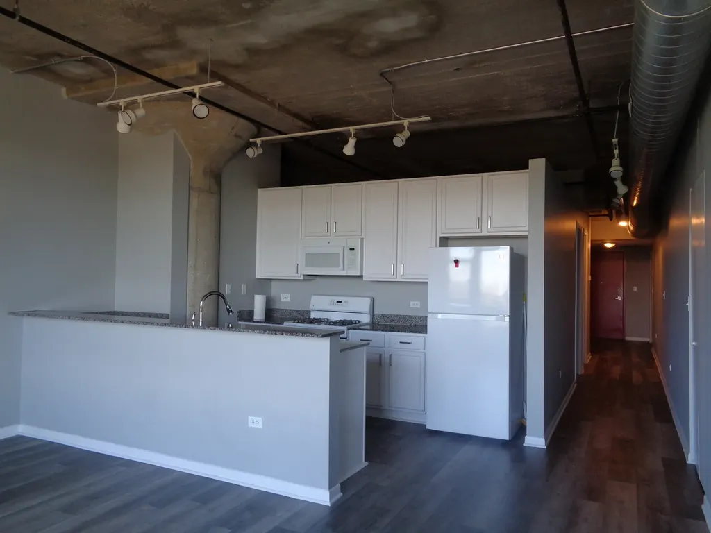1550 South Blue Island Avenue Chicago IL 60608