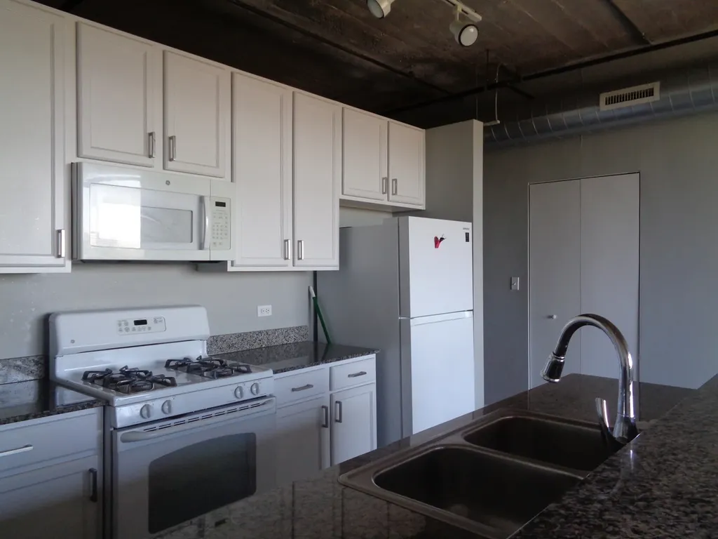1550 South Blue Island Avenue Chicago IL 60608