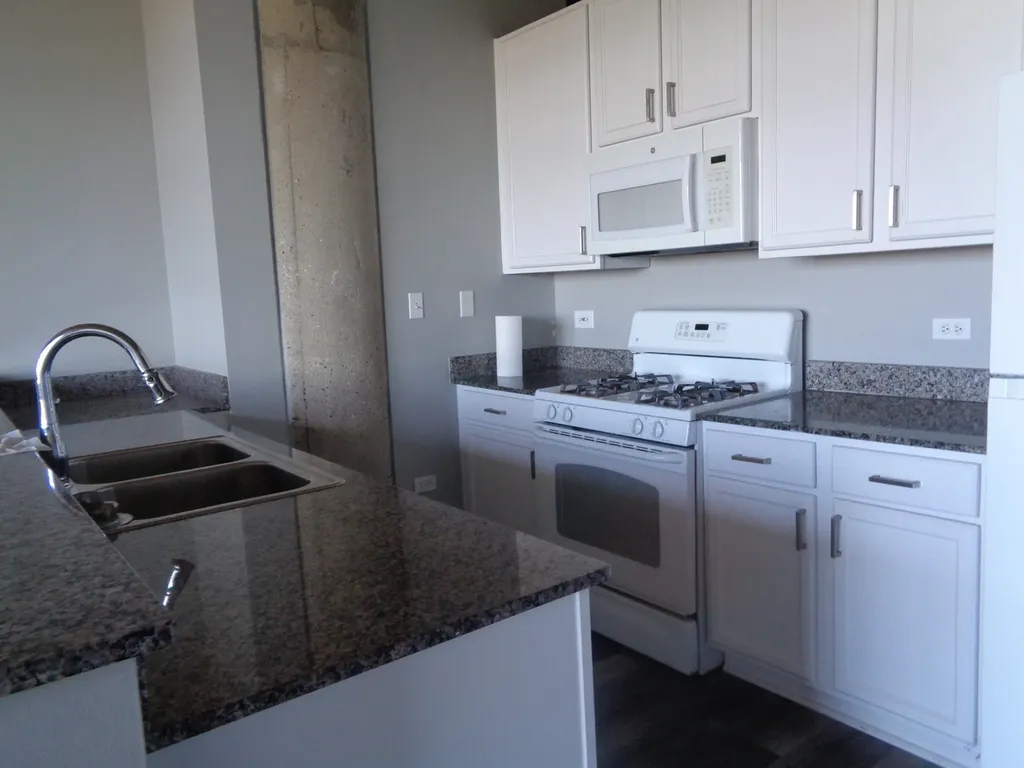1550 South Blue Island Avenue Chicago IL 60608