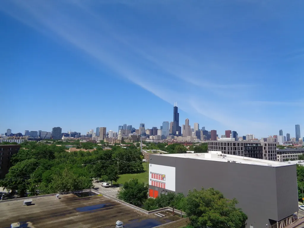 1550 South Blue Island Avenue Chicago IL 60608