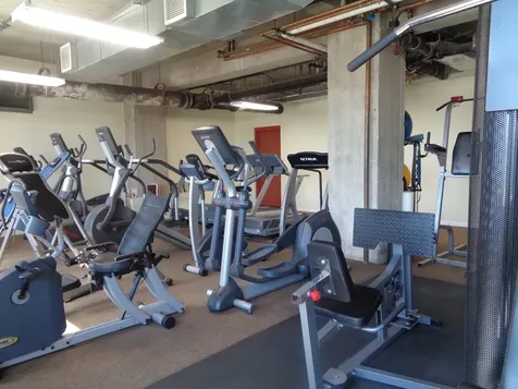 1550 South Blue Island Avenue Chicago IL 60608