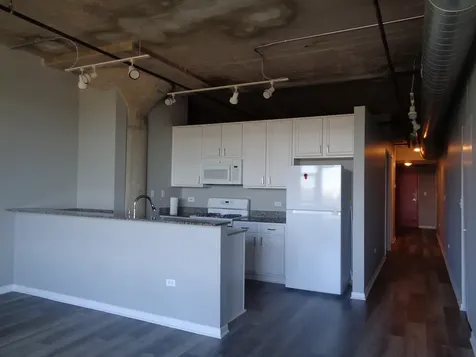 1550 South Blue Island Avenue Chicago IL 60608