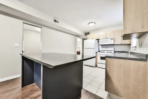 3231 North Ridgeway Avenue Chicago IL 60618