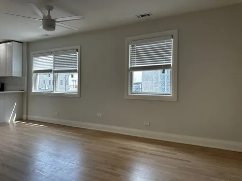 869 North Hermitage Avenue Chicago IL 60622
