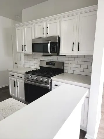 2884 Falling Waters Lane Lindenhurst IL 60046