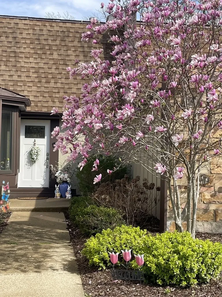 139 Cascade Drive Indian Head Park IL 60525
