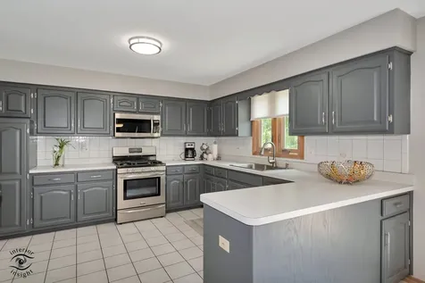 14756 South Golden Oak Drive Homer Glen IL 60491