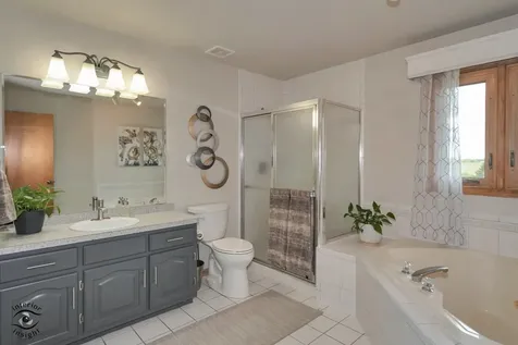 14756 South Golden Oak Drive Homer Glen IL 60491