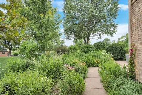 14756 South Golden Oak Drive Homer Glen IL 60491