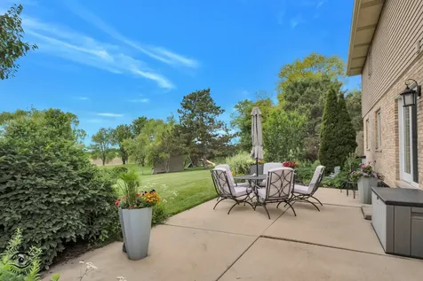 14756 South Golden Oak Drive Homer Glen IL 60491