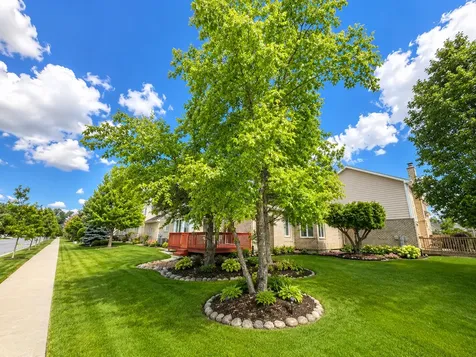 7746 Northfield Lane Tinley Park IL 60487