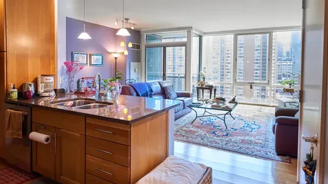 505 North Mcclurg Court Chicago IL 60611