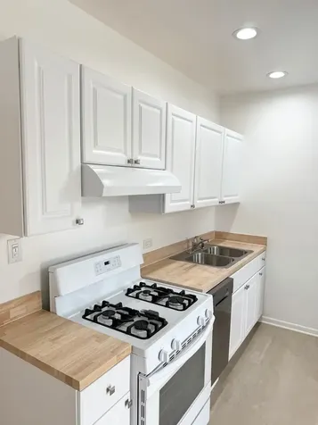 921 South Bishop Street Chicago IL 60607