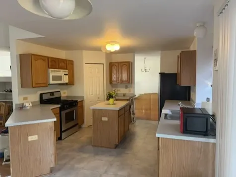42 W Tall Grass Court Round Lake Beach IL 60073
