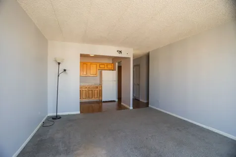 9128 West Terrace Drive Niles IL 60714