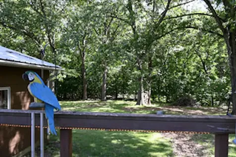 20107 Woodbury Hill Danville IL 61834