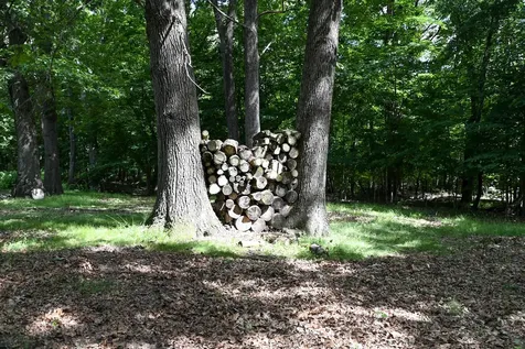 20107 Woodbury Hill Danville IL 61834