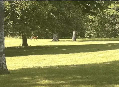 20107 Woodbury Hill Danville IL 61834