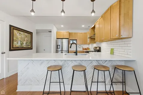 1215 East Madison Park Avenue Chicago IL 60615