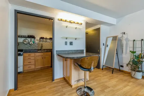 1150 North Lake Shore Drive Chicago IL 60611