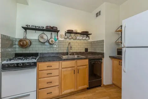 1150 North Lake Shore Drive Chicago IL 60611