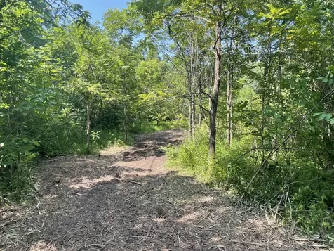 41.94 Acres Route 14 Harvard IL 60033