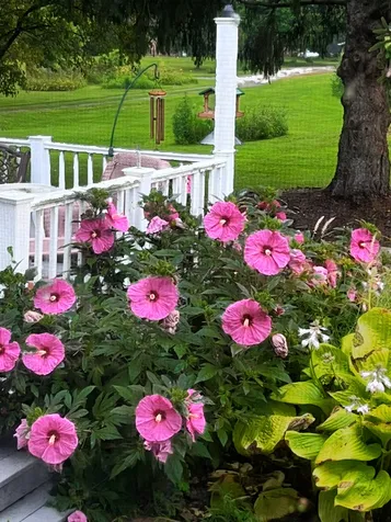 2636 South Homer Lake Road Homer IL 61849