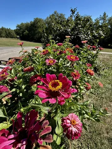 2636 South Homer Lake Road Homer IL 61849