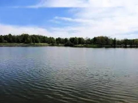 2636 South Homer Lake Road Homer IL 61849