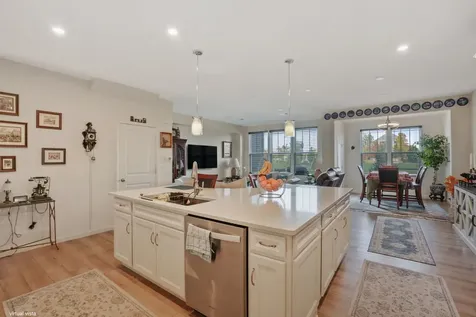 24528 West Alexis Lane Plainfield IL 60585