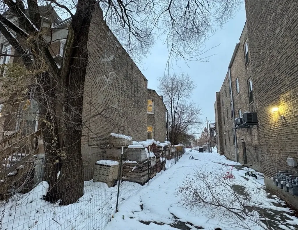 1806 South Homan Avenue Chicago IL 60623